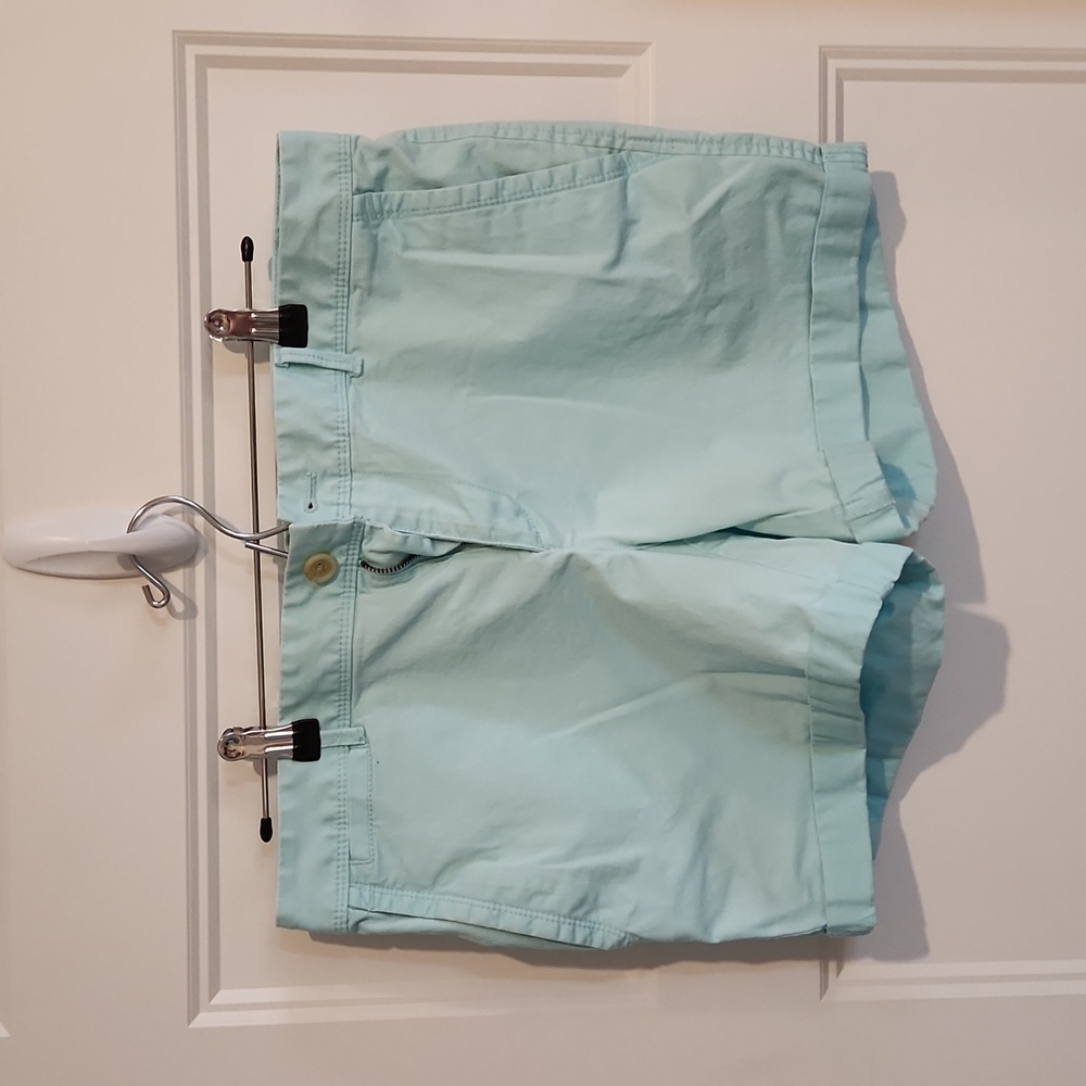 Banana Republic Light Blue Medium Shorts